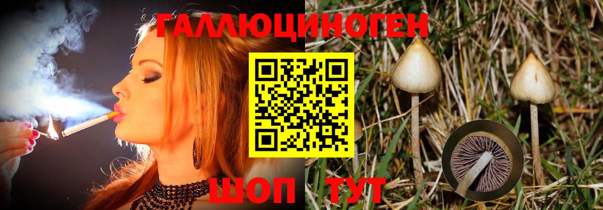 МДМА  Alpha PVP СК кристаллы  ЭКСТАЗИ  Канабис  Мефедрон  Шелехов  Гашиш  Лсд 25  Cocaine  Мефедрон кристаллы  Вход с VPN 