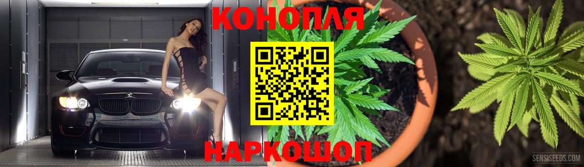 Каннабис семена  Марихуана ГИДРОПОН  Вход с VPN  Каннабис индика  Шелехов 